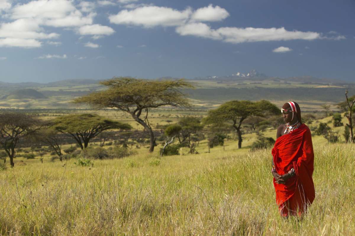 Kenya landscape and wildlife